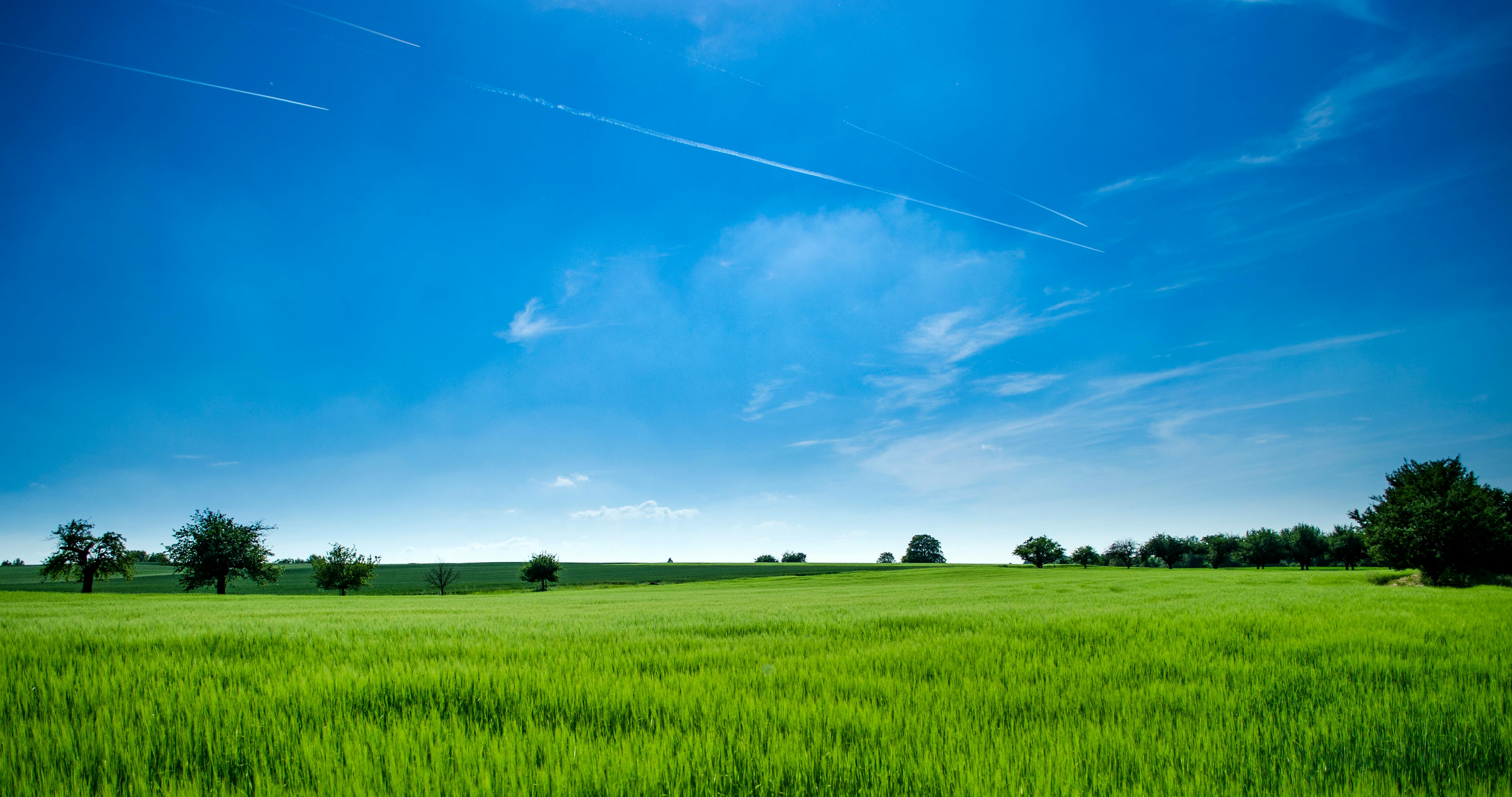 IA en Agricultura